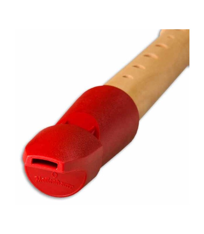 Head of recorder Mollenhauer 1073