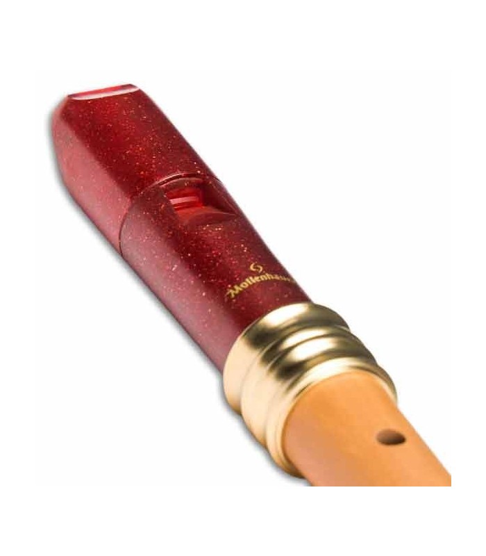 Head of recorder Mollenhauer 1119R Dream