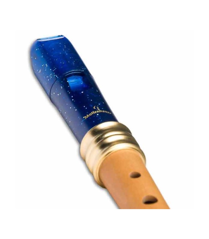 Foto 3/4 da cabeça da flauta Mollenhauer 1119B