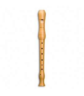 Foto da flauta soprano Mollenhauer 1003