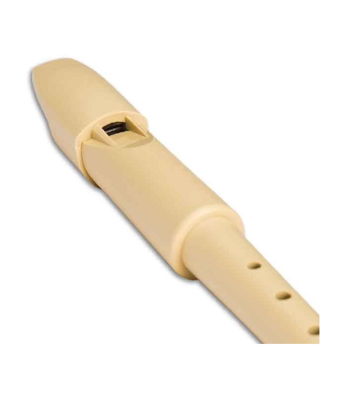 Head of recorder Mollenhauer SWING 701