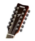 Guitarra Folk 12 Cordas Abeto/Mogno FG820 12