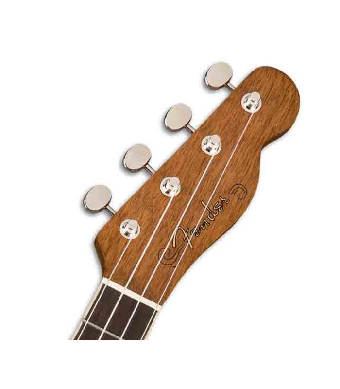 Cabeza del  ukulele concerto Fender Zuma 
