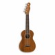 Photo of ukulele concerto Fender Zuma 