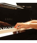 Piano de Cauda Kawai GX 2 180cm Preto Polido 3 Pedais