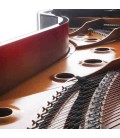 Piano de Cauda Kawai GX 7 229cm Preto Polido 3 Pedais