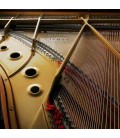 Piano de Cauda Kawai GL 10 152cm Preto Polido 3 Pedais