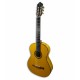 APC Flamenco Guitar 5F Spruce and Maple