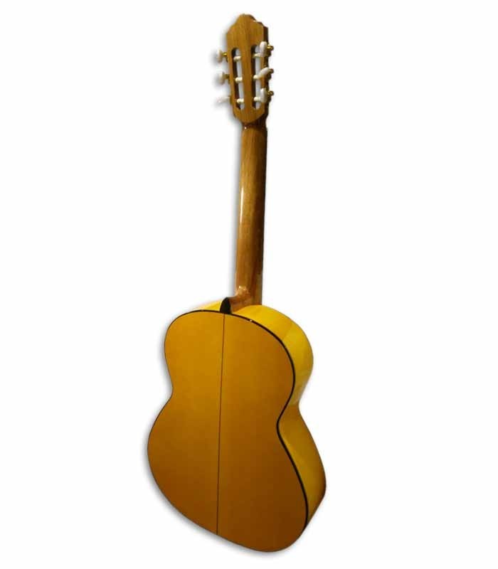 Guitarra Flamenca APC 5F Spruce e Maple