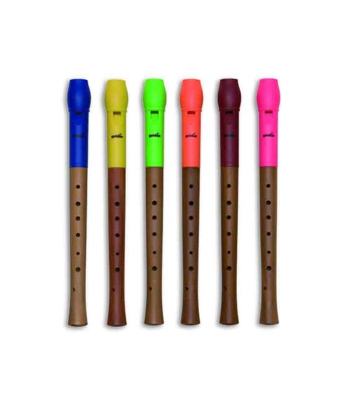Photo of recorders Goldon 42000 with heads in several colors