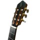 Guitarra Flamenca APC 5F Abeto y Acer