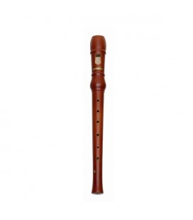 Foto da Flauta Bisel Goldon modelo 42051 Soprano Alemã