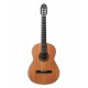 Guitarra Clásica APC 8C Cedro Palisandro Nilón
