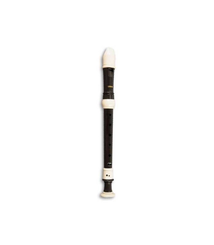 star wars theme soprano recorder 2