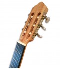 APC KOA OP Guitarra Clássica