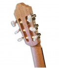 APC KOA OP Guitarra Clássica