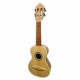 Photo of cavaquinho APC 100