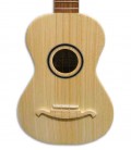 Cuerpo del cavaquiño APC 100