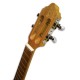 Photo of cavaquinho APC 100