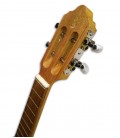 Photo of cavaquinho APC 100