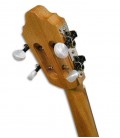 Clavijeros del cavaquiño APC 100