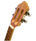 APC 101 Cavaquinho cabeza