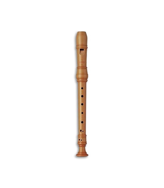Recorder Moeck 4104 Rottenburgh Sopranino Castello