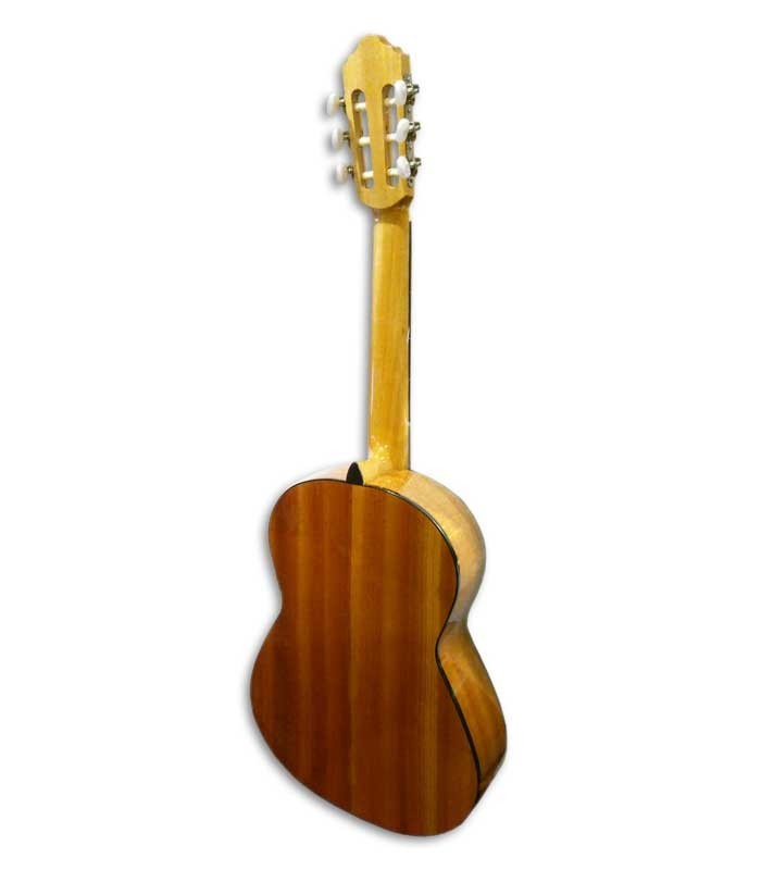 Fundo da guitarra APC 1C 3/4