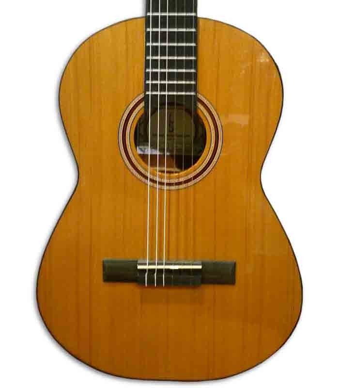 Corpo da guitarra APC 1C 3/4