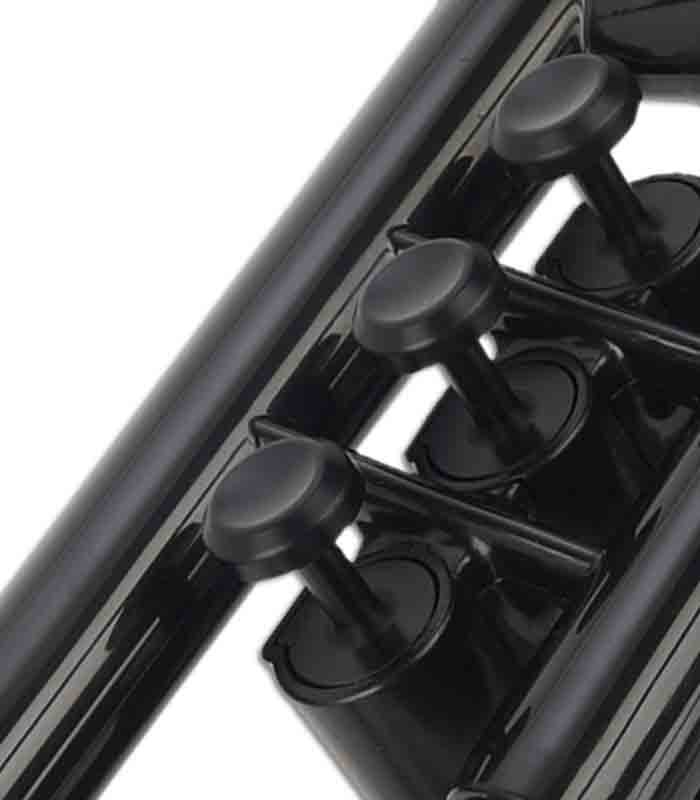 Pistons of Ptrumpet trumpet 