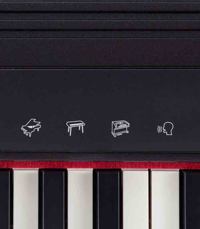 Roland 61 Keys Keyboard Go Piano Black