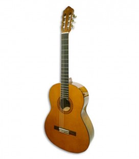 Photo of guitar Yamaha C40