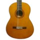 Corpo da guitarra Yamaha C40