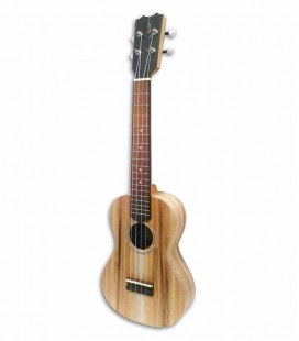 APC Ukulele CS Concert Simple
