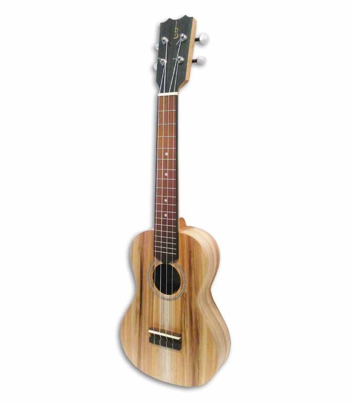 Ukulele
APC CS Concerto