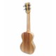 Fondo del ukulele APC CS
