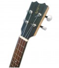 Cabeza del ukulele APC CS