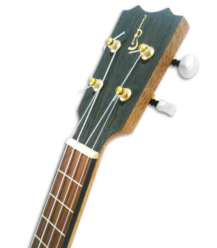 APC TT CW Ukulele cabeza
