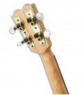 APC TT CW Ukulele carrilhões
