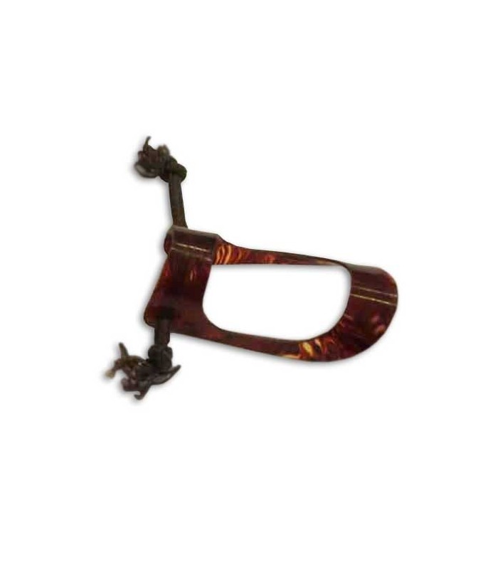 Foto da unha Dragão 21 polegar tartaruga