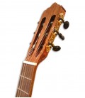 Cabeça da guitarra La Mancha Rubi S 