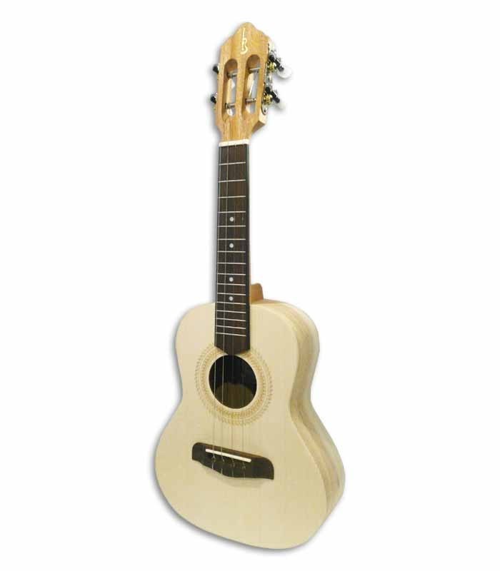 Foto del cavaquiño brasileño APC BR110