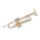 Photo of the John Packer Trumpet JP251SW