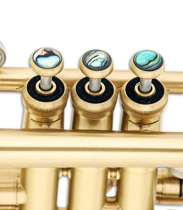 Photo detail of the John Packer Trumpet JP251SW pistons
