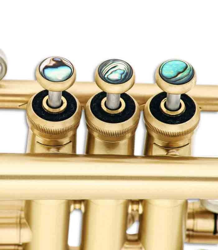 Foto detalhe dos pistões do Trompete John Packer JP251SW