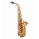 Photo of the John Packer Alto Saxophone JP041