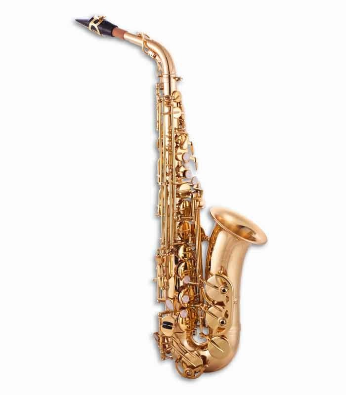 Photo of the John Packer Alto Saxophone JP041