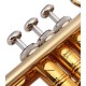 Photo detail of the John Packer Trumpet JP251SW pistons