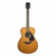 Photo of guitar Yamaha FS800 T