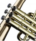 Photo detail of the John Packer Flugelhorn JP275SW pistons